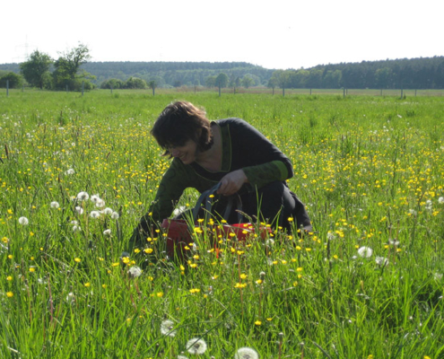 Wildkräuterwandern & Singen in der Natur, Foto: Gabi Sußdorf